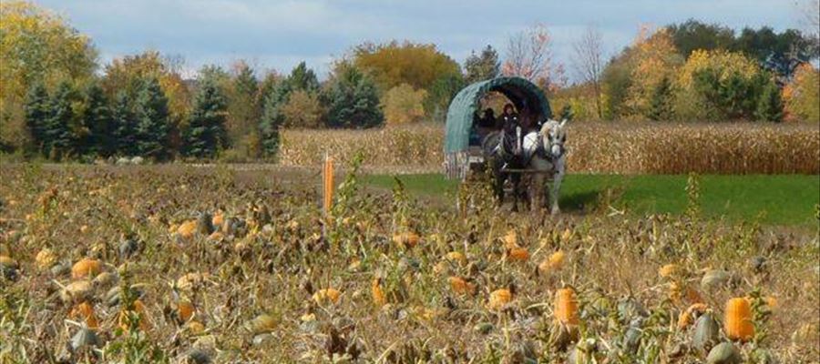 Wolcott Mill Metropark Farm Center Wolcott Mill Metropark Farm Center
